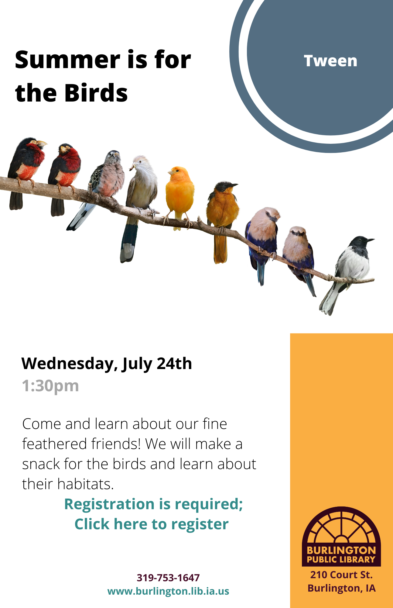 Birds click here.png